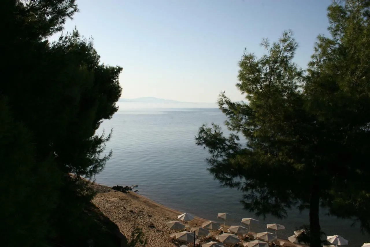 Cosy Apartment By The Sea Metamorfosi   Metamorfosi (Sithonia)